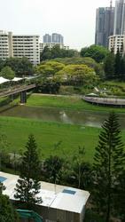 Blk 101 Clementi Street 14 (Clementi), HDB 4 Rooms #110479202